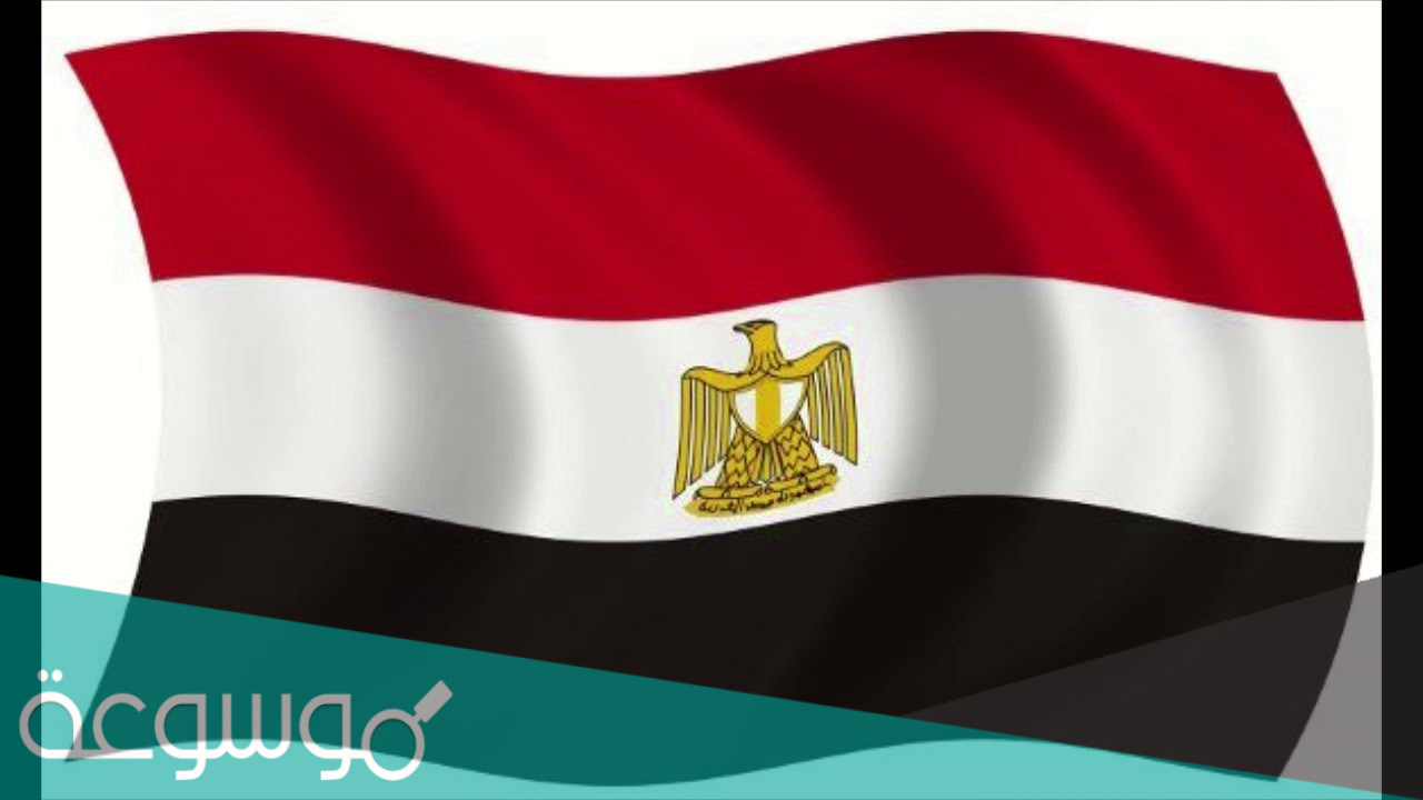 لماذا صممت كل محافظه الشعار الخاص بها في مصر