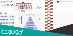 كم بت يوجد في البايت الواحد ؟