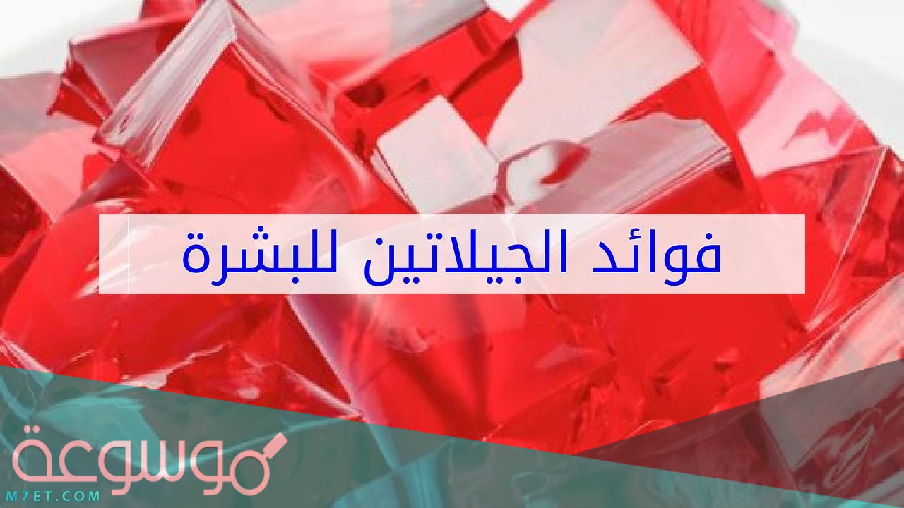 فوائد الجيلاتين للشعر وطريقة استخدامه