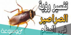 تفسير الحلم بالصراصير لابن سيرين والنابلسي