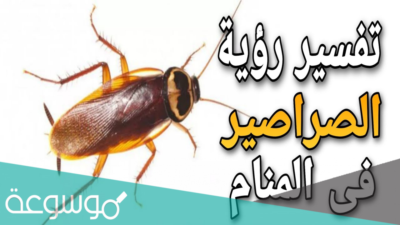 تفسير الحلم بالصراصير لابن سيرين والنابلسي