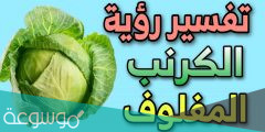 تفسير الملفوف في المنام لابن سيرين