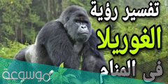 تفسير الغوريلا في المنام