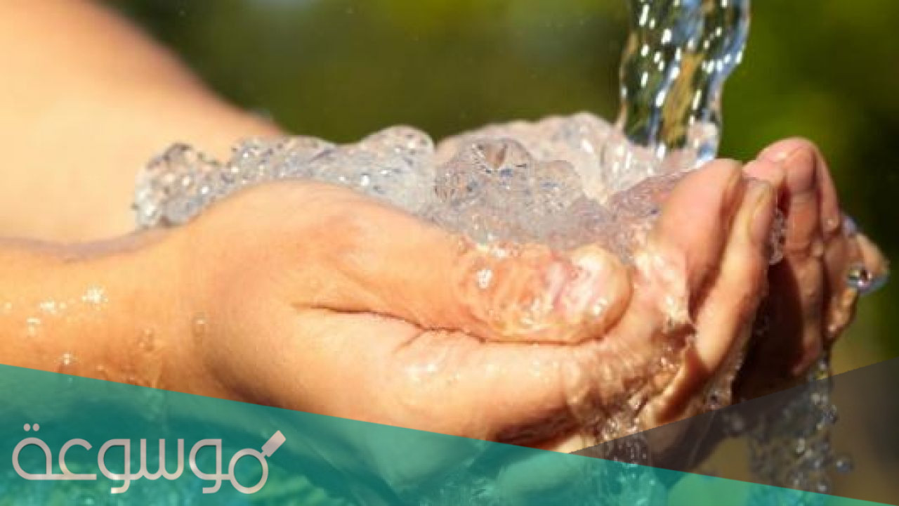 كم عدد فروض الوضوء