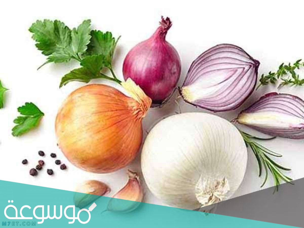 فوائد ماء البصل للشعر وكيفية استخدامه
