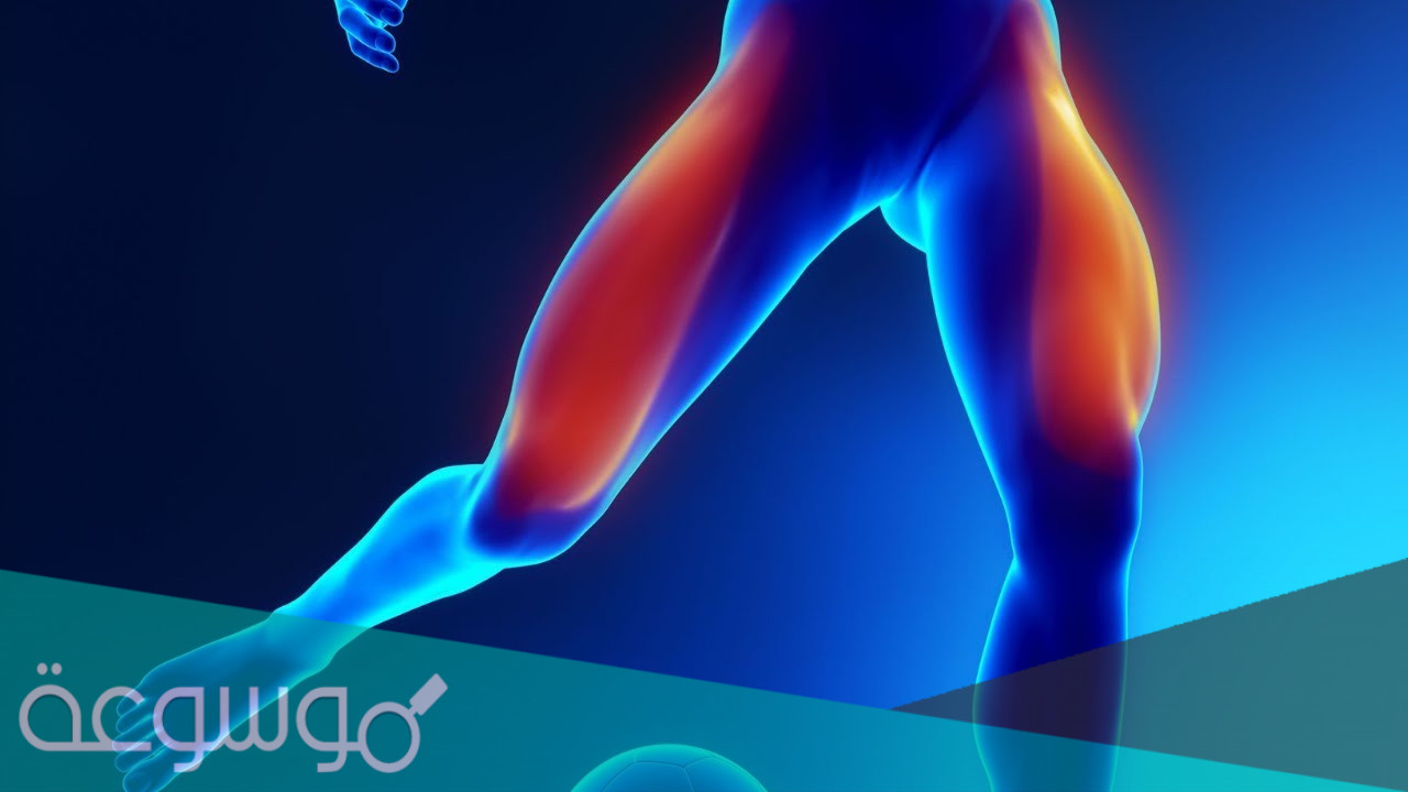 أسباب الم الساقين والفخذين وطرق علاجه