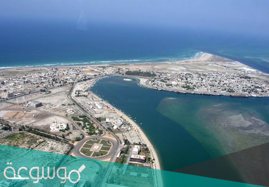 أفضل برامج رحلات برية في الامارات