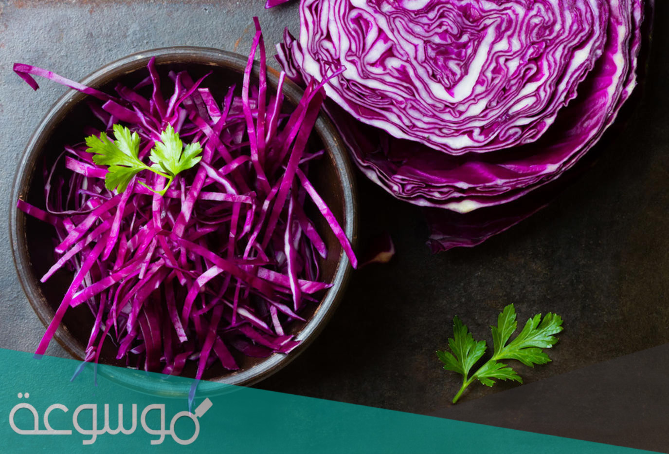 أهم فوائد الملفوف الاحمر للصحة والجسم
