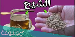 ما هي فوائد الشيح للجسم