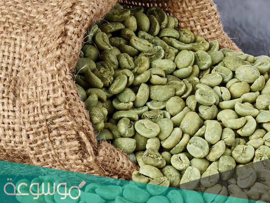 أهم فوائد كبسولات القهوة الخضراء