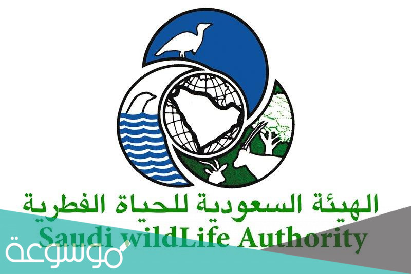 من هو السفير القطري في المملكة