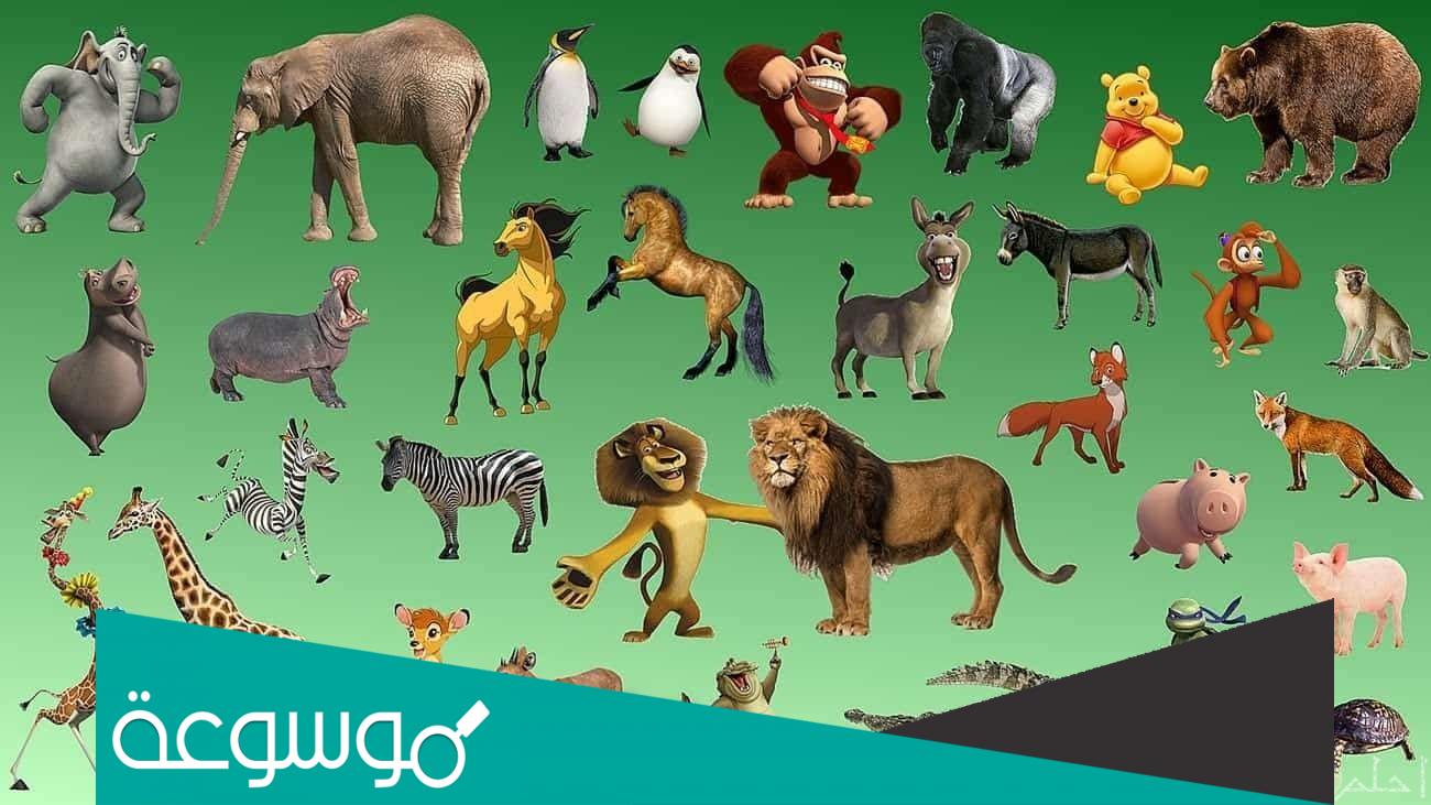 اسم حيوان بحرف الميم