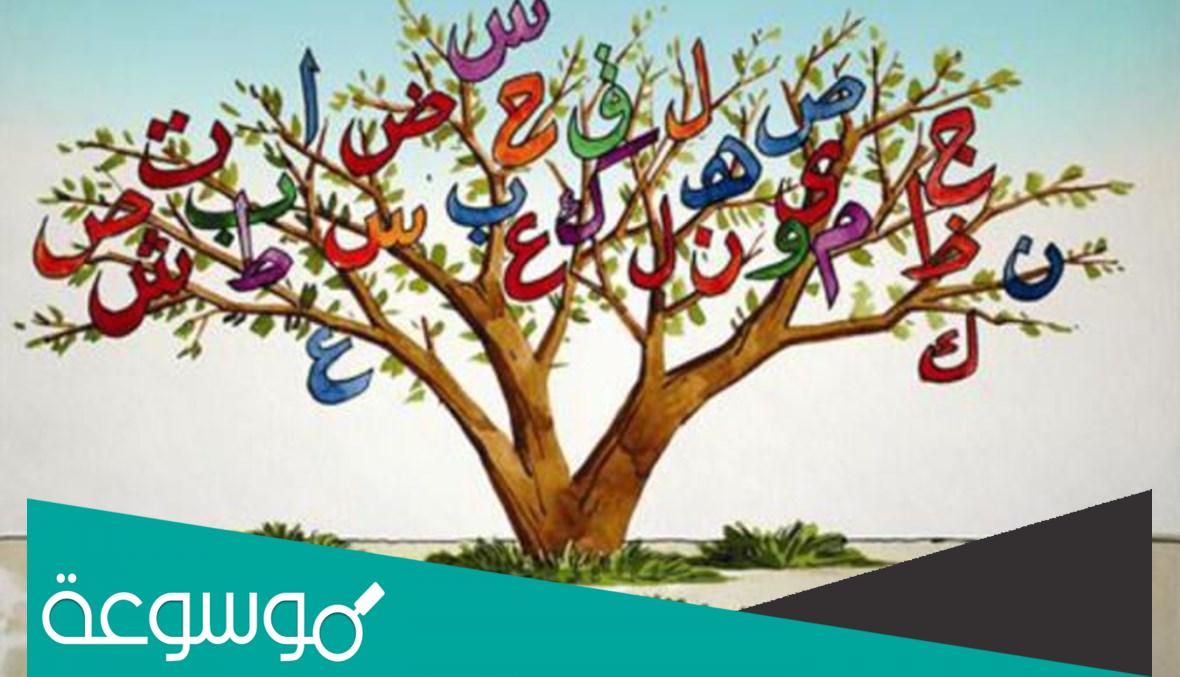 اسماء اولاد تنتهي بحرف النون