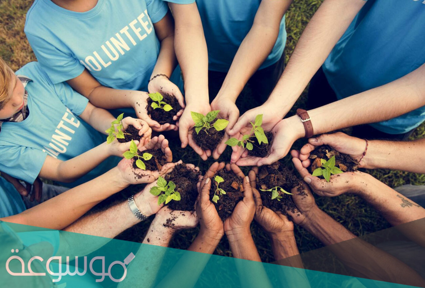 افكار ابداعية للعمل التطوعي