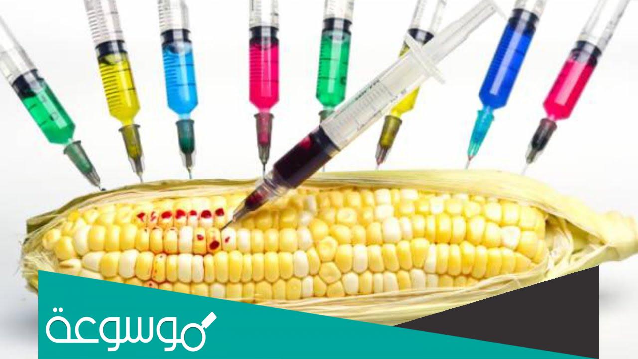 الأغذية المعدلة وراثيا ايجابياتها وسلبياتها