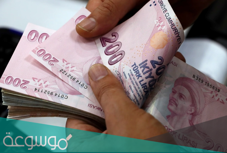 كم بلغت نسبة اقتصاد تركيا