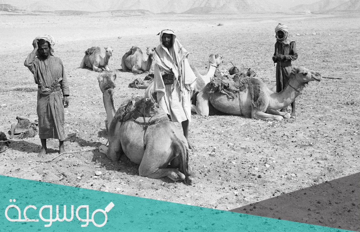 الدسيماني وش يرجع