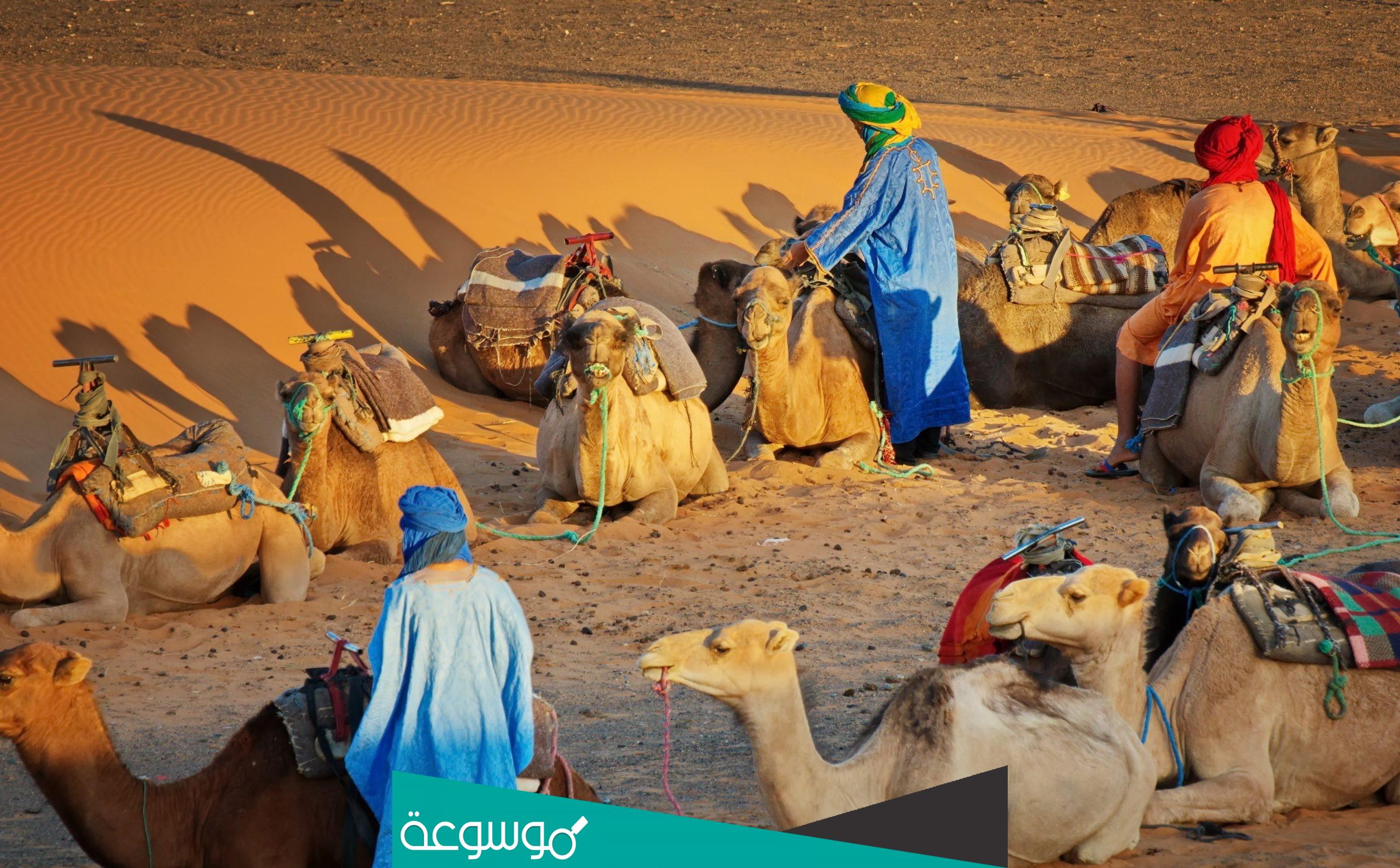 الشعيبي من وين