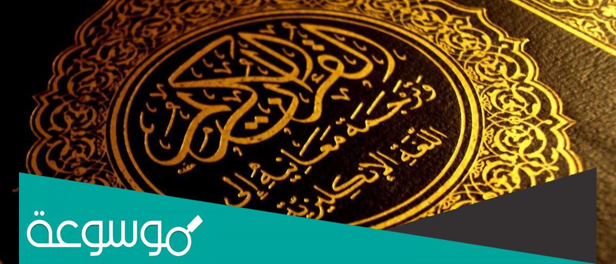 المن والسلوى في القرآن هو ...