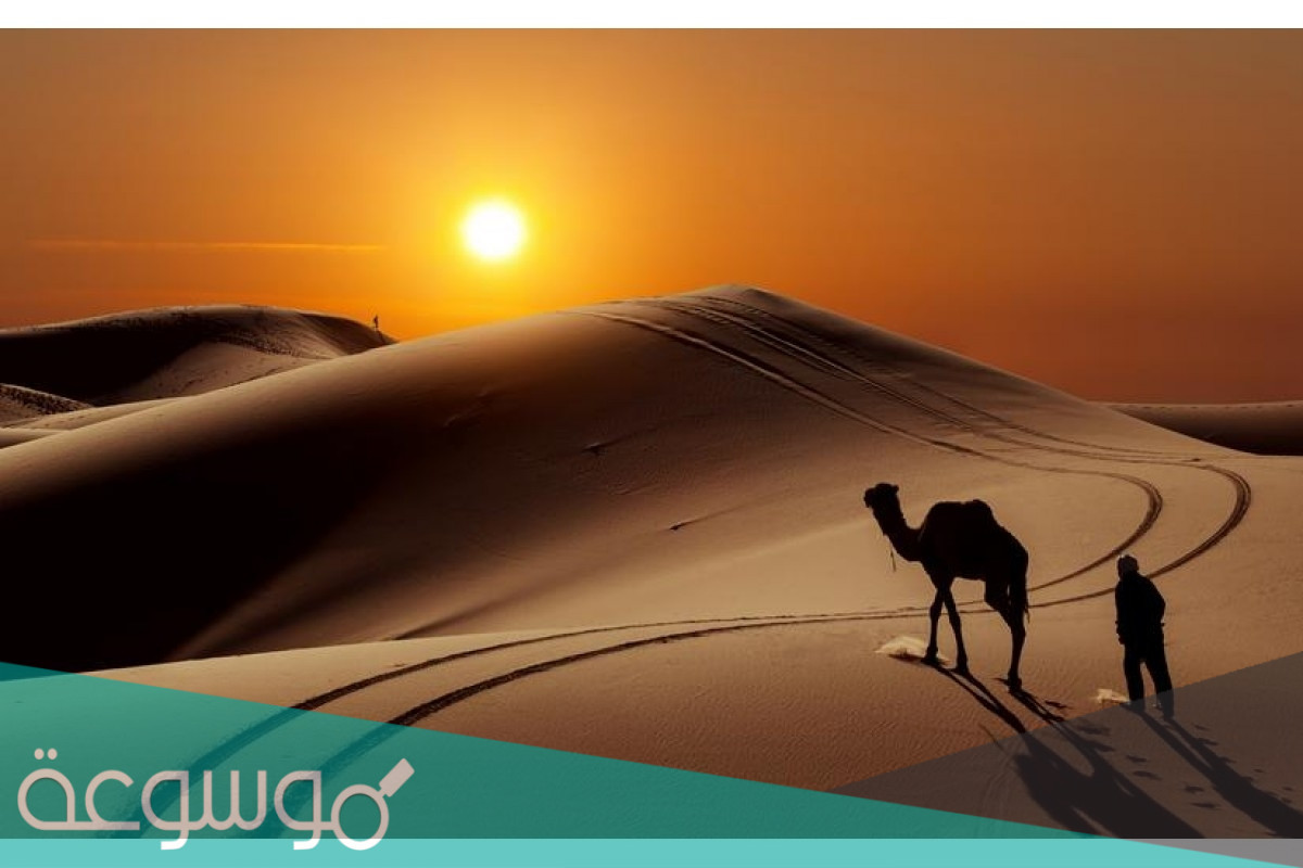 الناغي من وين ، الناغي وش يرجع