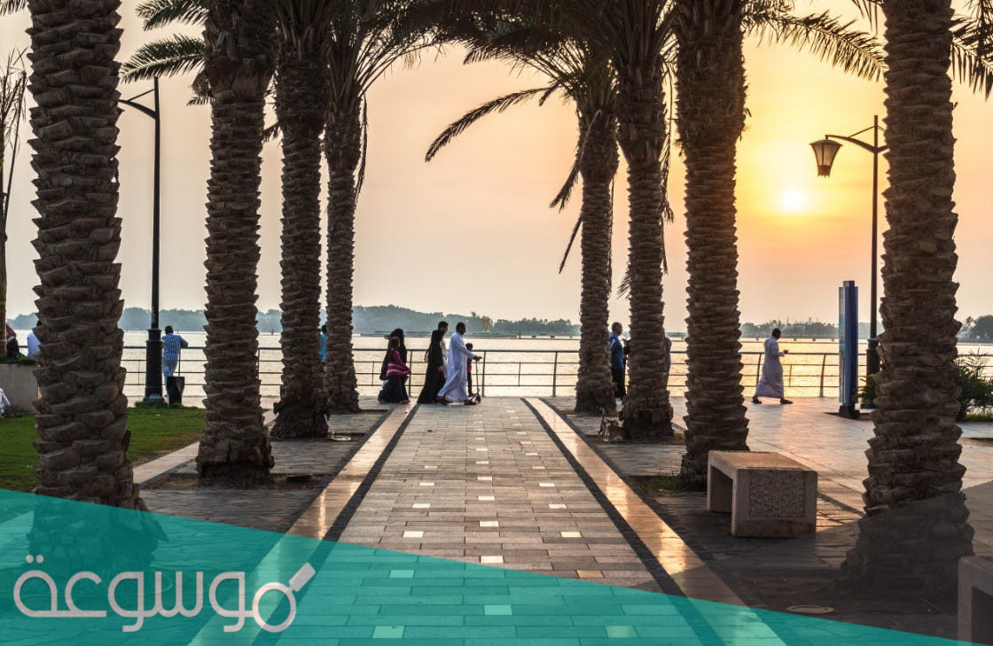 اين تقع ثول في السعودية