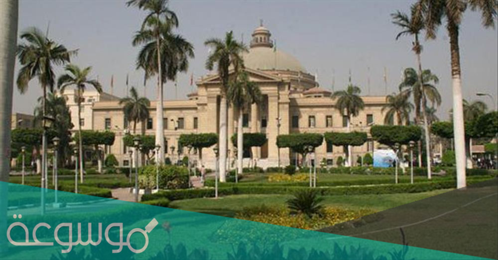 اين تقع جامعة عين شمس بالقاهرة