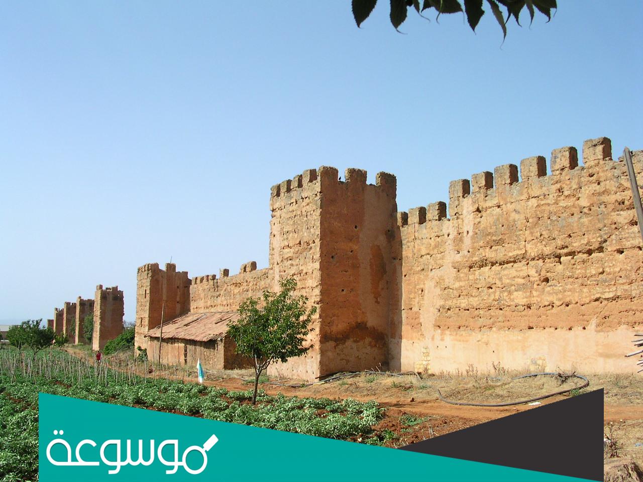 اين تقع قلعة المنصورة في الجزائر