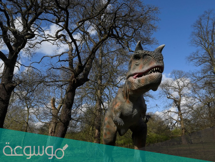 بحث عن الانقراض شامل