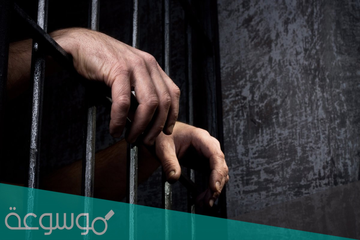 بحث عن الجنايات كامل