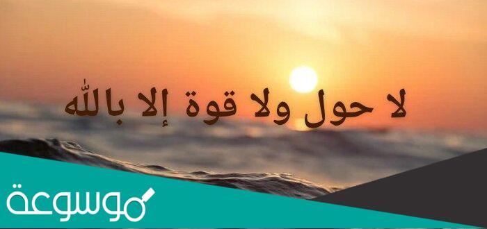 تجربتي مع الحوقلة