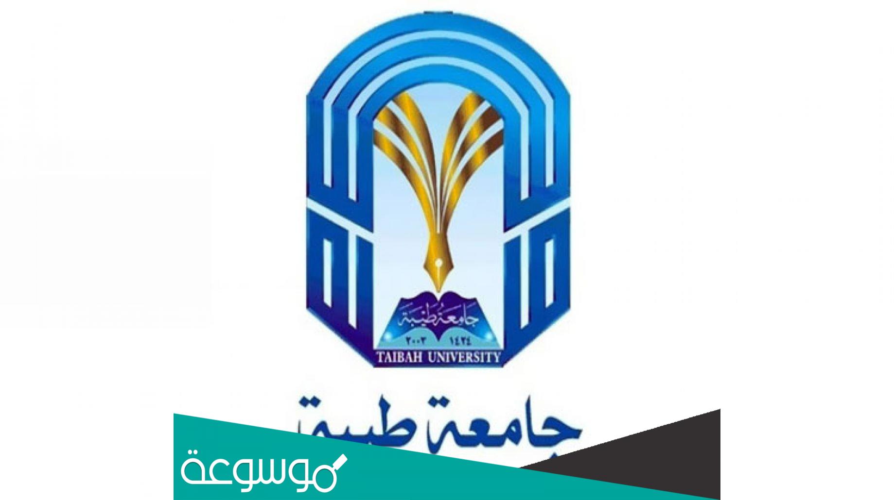 تخصصات جامعة طيبة بالمدينة المنورة للبنات