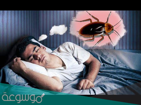 تفسير اكل الصرصور في المنام