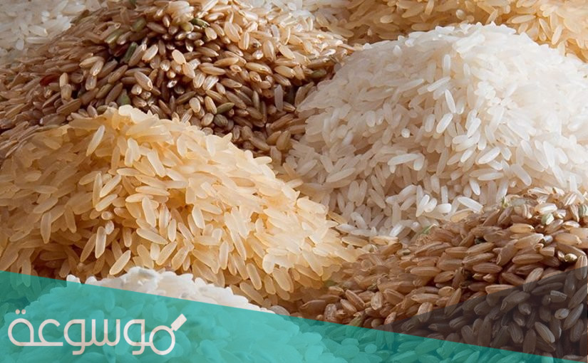 تفسير الارز في المنام للمتزوجة وغير المتزوجه