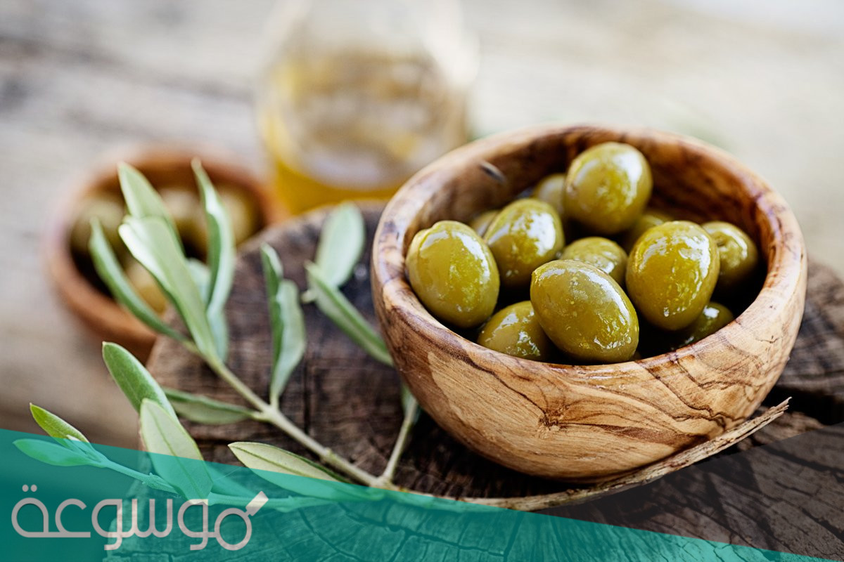 تفسير الزيتون في المنام للعزباء والمتزوجة والحامل