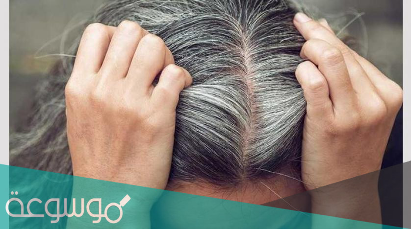 تفسير الشعر الابيض في المنام لمختلف الحالات