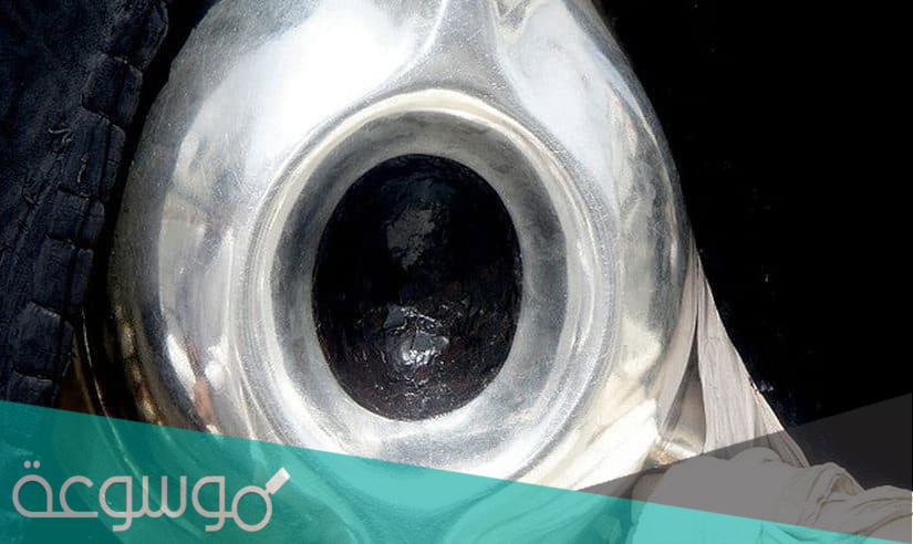 تفسير تقبيل الحجر الاسود في المنام