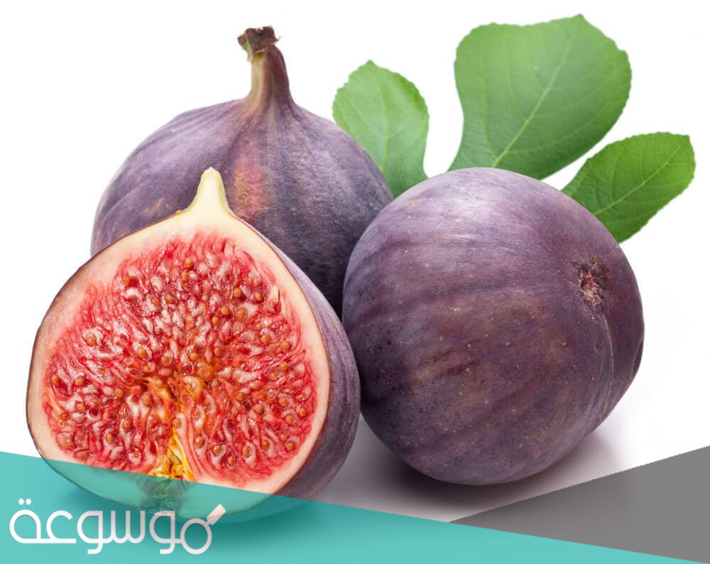 تفسير اكل التين في المنام