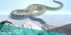تفسير ثعبان في المنام لمختلف الحالات
