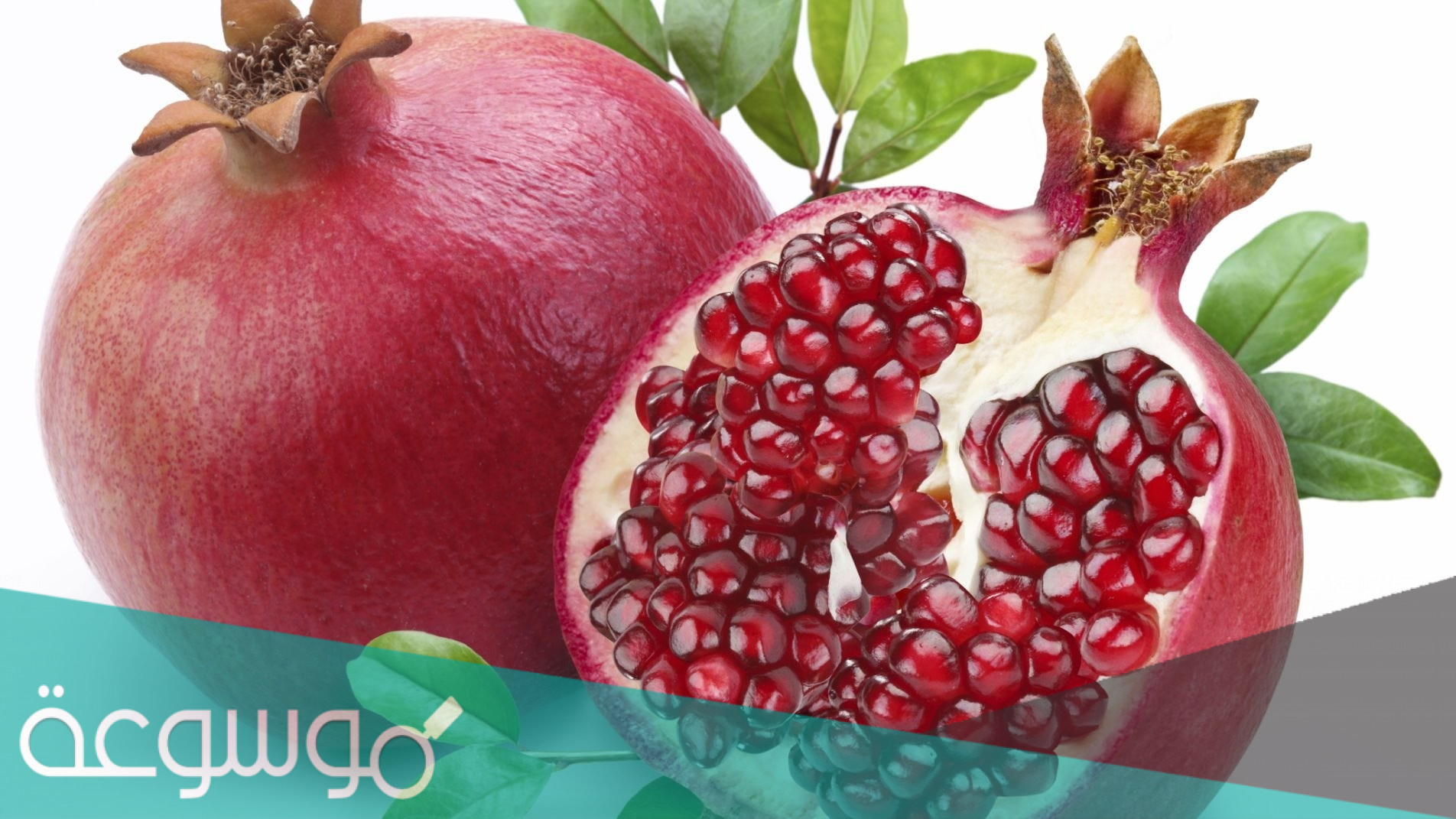 تفسير رؤية الرمان في المنام بالتفصيل