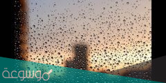 تفسير رؤية المطر في المنام لمختلف الحالات