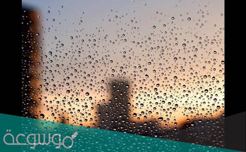 تفسير رؤية المطر في المنام لمختلف الحالات