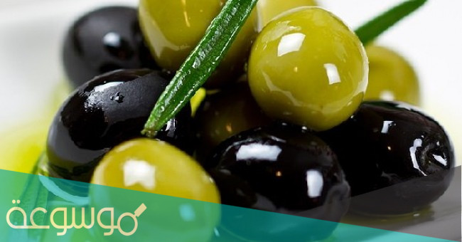 تفسير رؤية حلم الزيتون في المنام