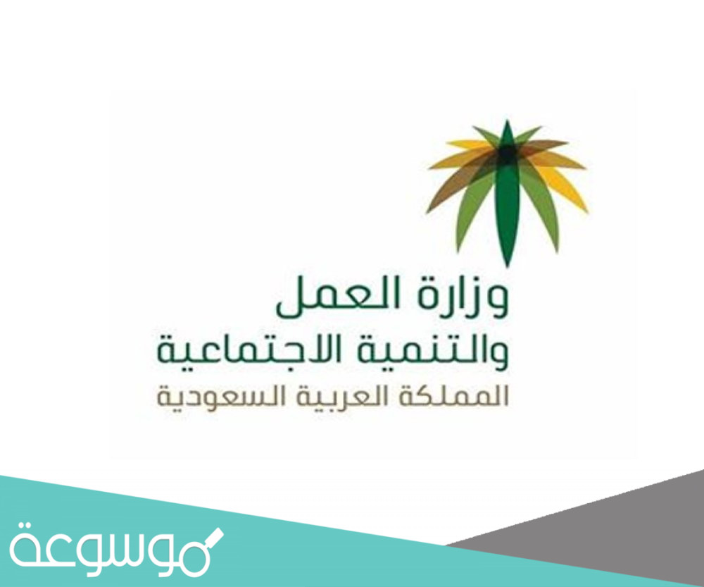 جديد التقديم على المساعده المقطوعه موعد إيداع الدفعة الجديدة