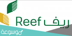 خطوات تغيير الحساب المصرفي لبرنامج Reef إلكترونيًا