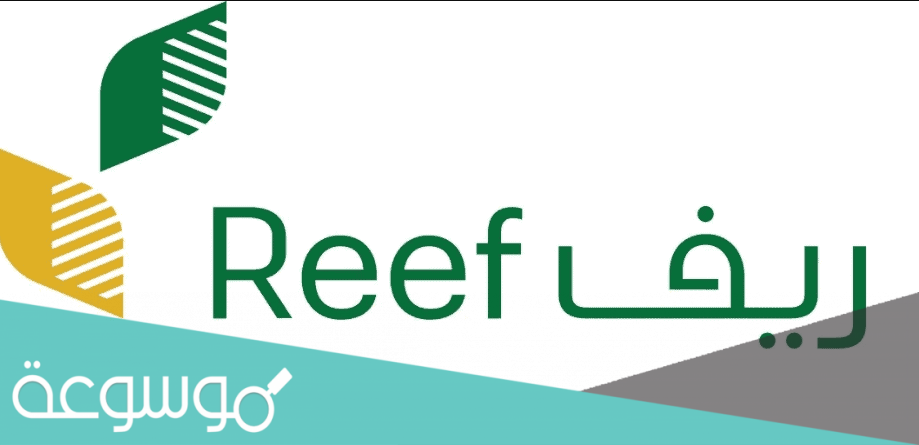 خطوات تغيير الحساب المصرفي لبرنامج Reef إلكترونيًا