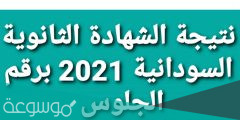رابط نتيجة الشهادة السودانية 2022