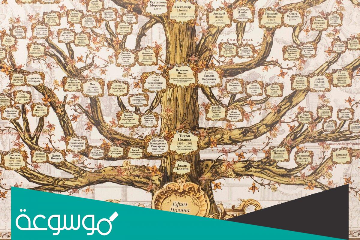 الغنام وش يرجعون له