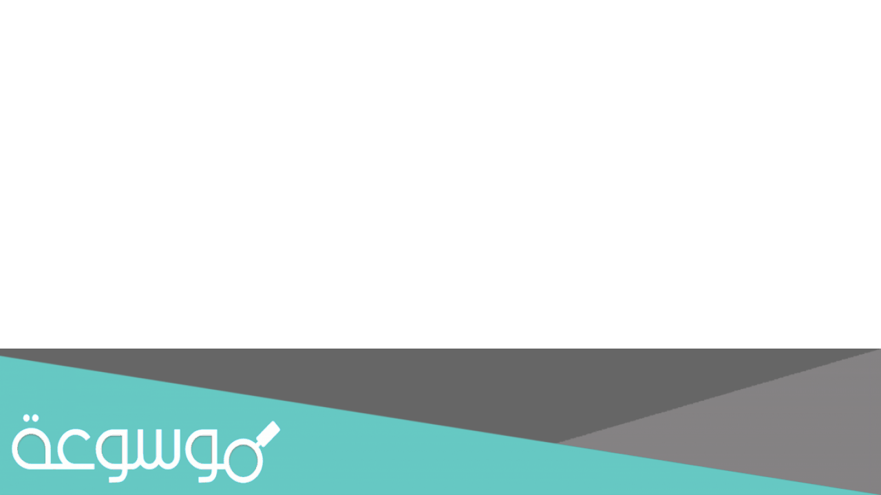 شروط التسجيل في منتدى شباب العالم مصر