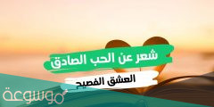 شعر عن الحب والغرام الصادق