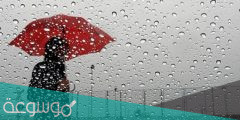 صور وعبارات عن المطر للواتس 2022